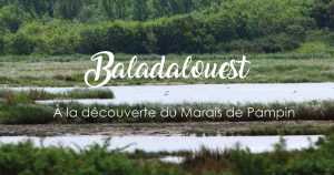 Baladalouest : Le Marais de Pampin