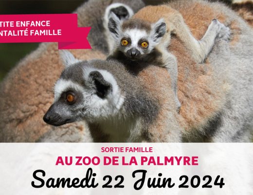 Sortie famille au Zoo de la Palmyre - avec le Centre Social et Culturel Vent des Îles - 22 Juin 2024
